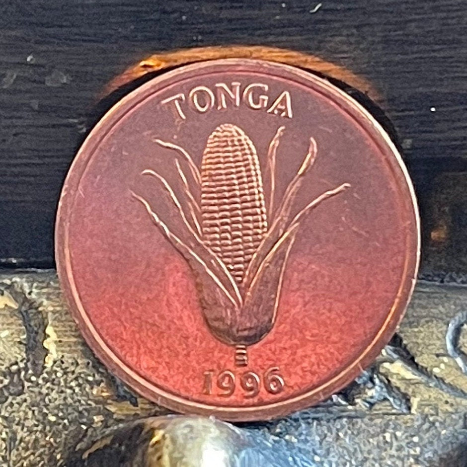 Ear of Corn & Vanilla Plant "Grow More Food" 1 Seniti Tonga Authentic Coin Money for Jewelry and Craft Making (World Food Day)