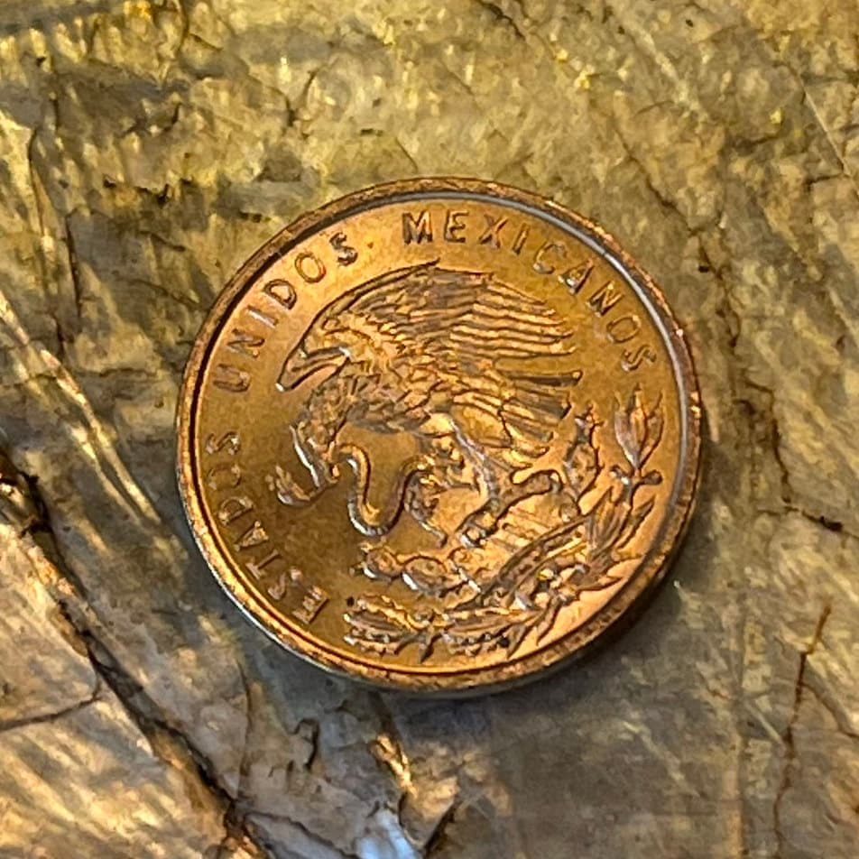 Eagle w/Snake & Wheat 1 Centavo Mexico Authentic Coin Money for Jewelry and Craft Making
