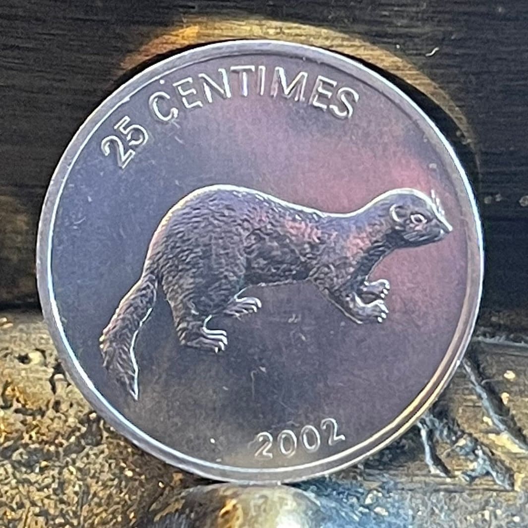 Weasel & Lion 25 Centimes Congo Authentic Coin Money for Jewelry and Craft Making