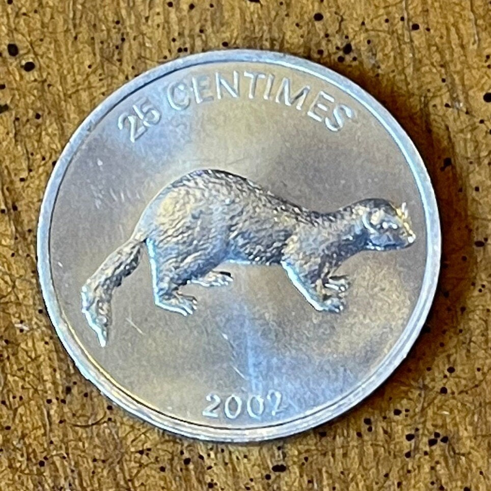 Weasel & Lion 25 Centimes Congo Authentic Coin Money for Jewelry and Craft Making