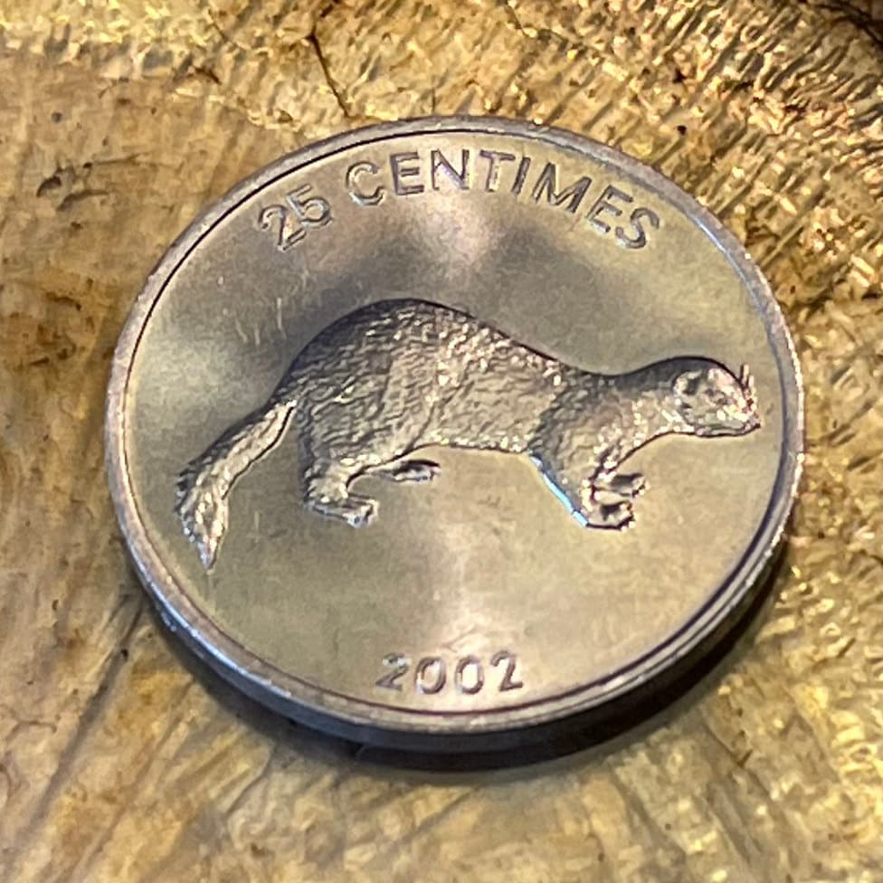 Weasel & Lion 25 Centimes Congo Authentic Coin Money for Jewelry and Craft Making