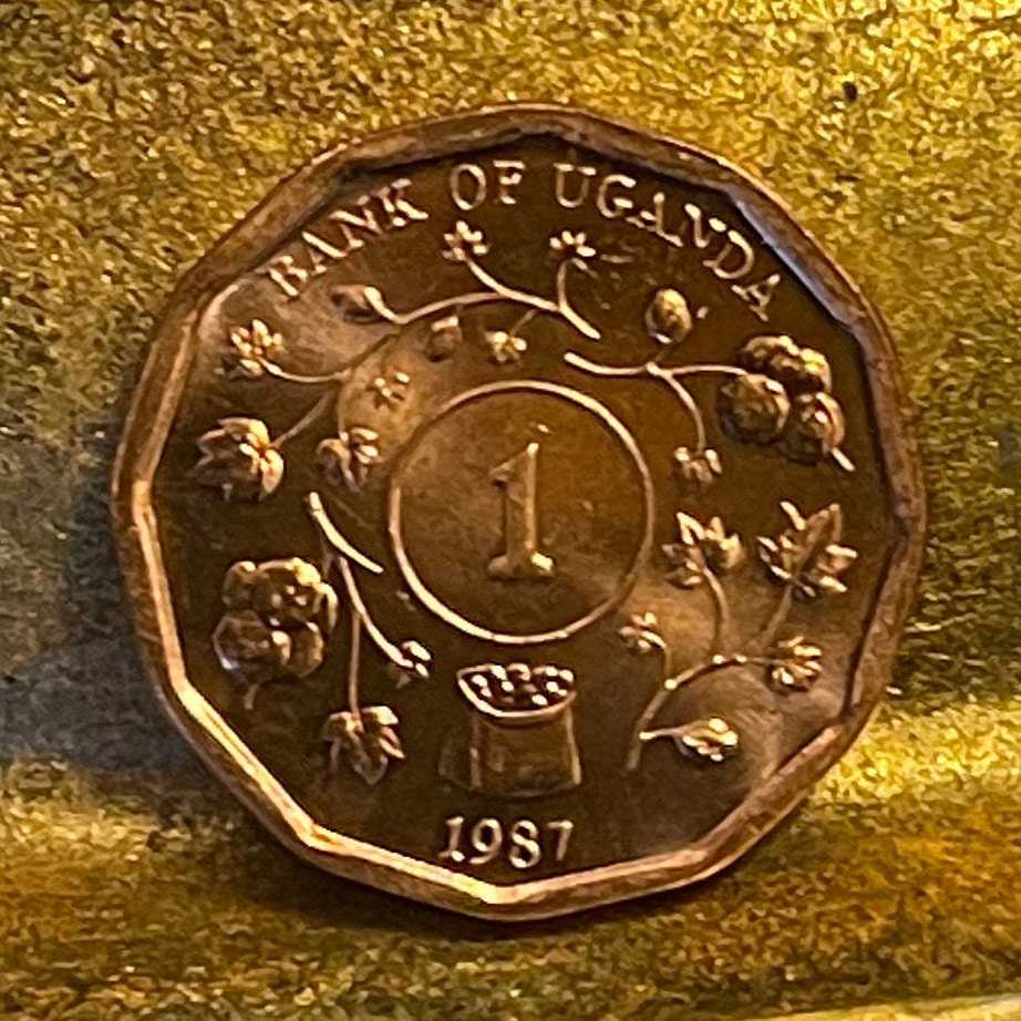 Cotton & Nuts 1 Shilling Uganda Authentic Coin Money for Jewelry and Craft Making