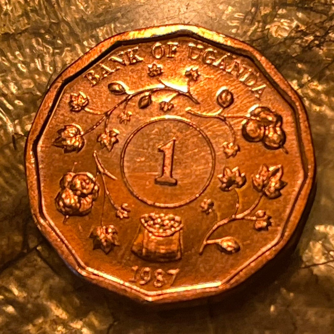 Cotton & Nuts 1 Shilling Uganda Authentic Coin Money for Jewelry and Craft Making