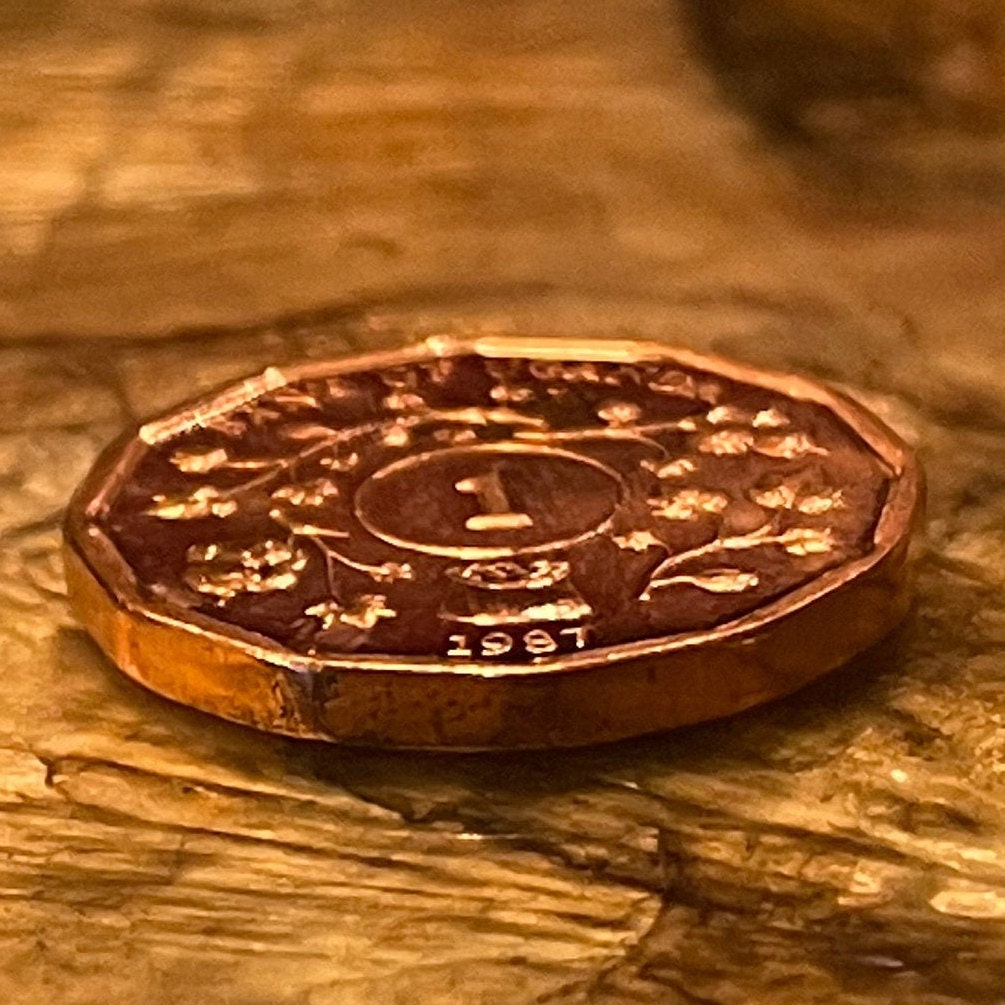 Cotton & Nuts 1 Shilling Uganda Authentic Coin Money for Jewelry and Craft Making