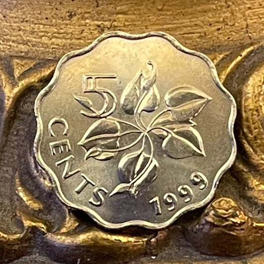 Calla Lily 5 Cents Swaziland Authentic Coin Money for Jewelry and Craft Making