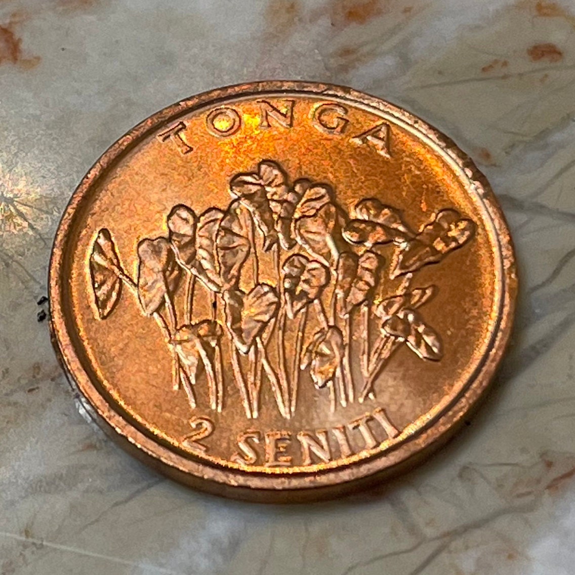 Taro Plant & "Food For All" 2 Seniti Tonga Authentic Coin Money for Jewelry and Craft Making (Family Planning) (United Nations)