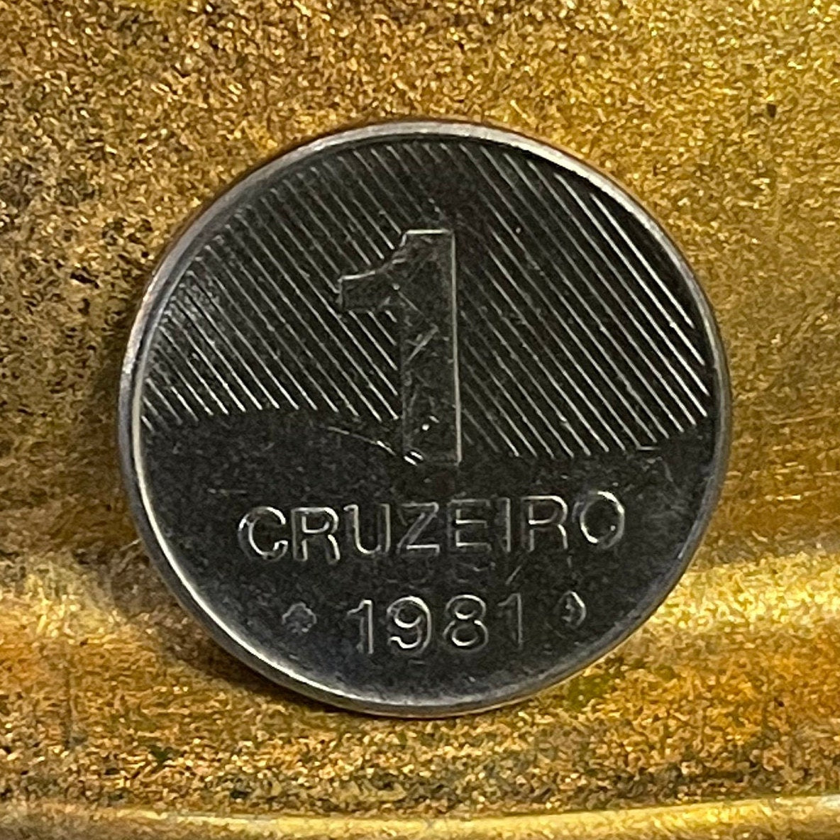 Sugar Cane 1 Cruzeiro Brazil Authentic Coin Money for Jewelry and Craft Making