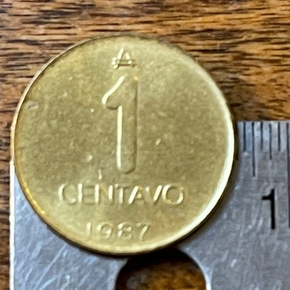 Greater Rhea Argentina 1 Centavo Authentic Coin Money for Jewelry and Craft Making 1987