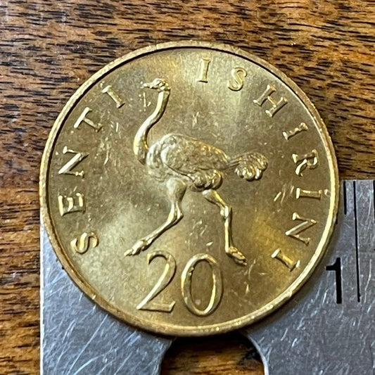 Ostrich Tanzania 20 Senti Coin Money for Jewelry and Craft Making (Julius Nyerere)