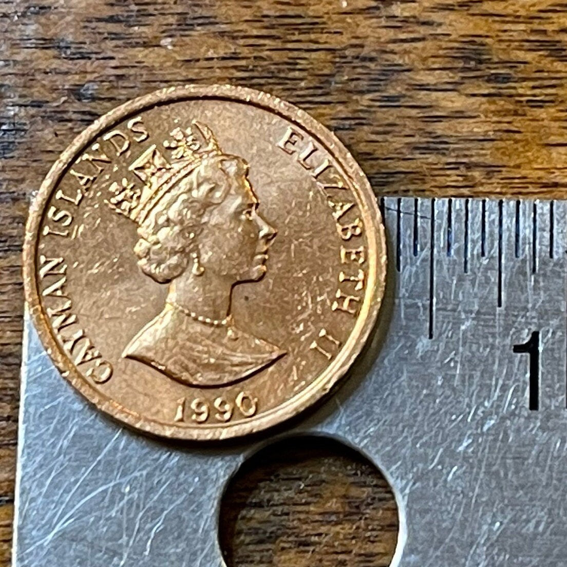 Grand Cayman Thrush Cayman Islands 1 Cent Authentic Coin Money for Jewelry and Craft Making