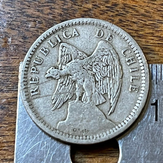 Andean Condor 20 Centavos Chile Authentic Coin Money for Jewelry and Craft Making (1930s)