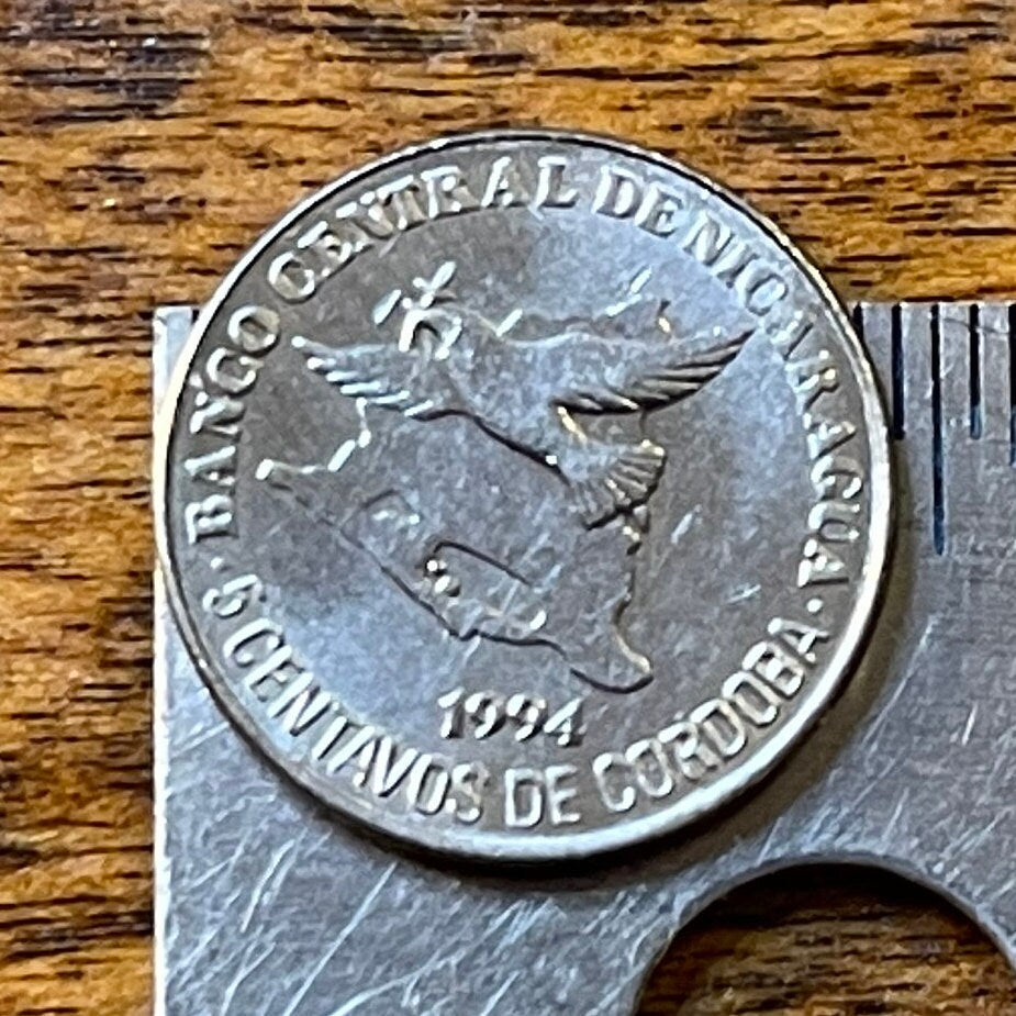 Turquoise-browed Motmot Nicaragua 5 Centavos Authentic Coin Money for Jewelry and Craft Making