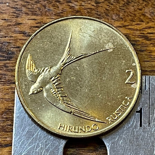 Barn Swallow Slovenia 2 Tolarja Authentic Coin Money for Jewelry and Craft Making