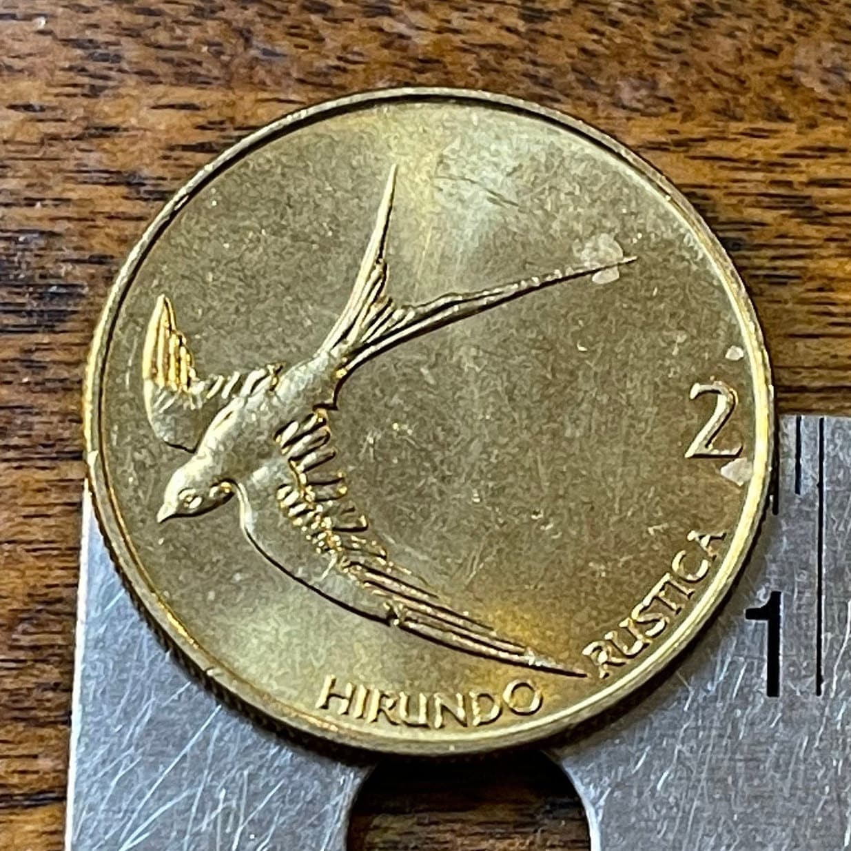 Barn Swallow Slovenia 2 Tolarja Authentic Coin Money for Jewelry and Craft Making