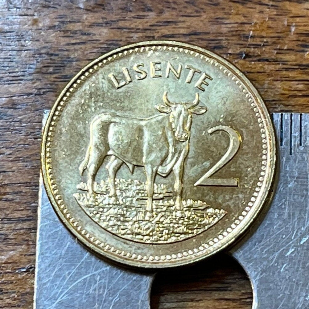 Bull Lesotho 2 Lisente Authentic Coin Money for Jewelry and Craft Making