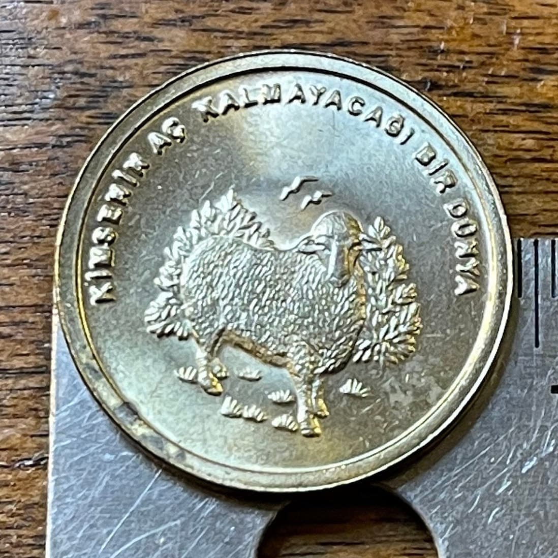 Sheep 500,000 Lira Turkey Authentic Coin Money for Jewelry and Craft Making