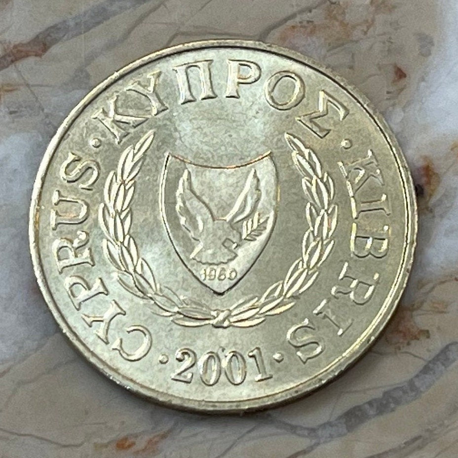 Bull Cyprus 5 Cents Authentic Coin Money for Jewelry and Craft Making