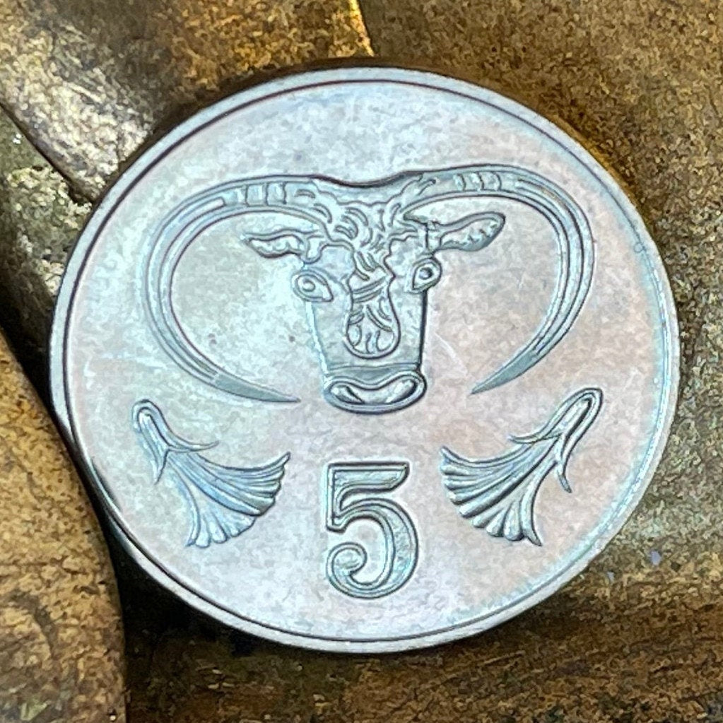 Bull Cyprus 5 Cents Authentic Coin Money for Jewelry and Craft Making