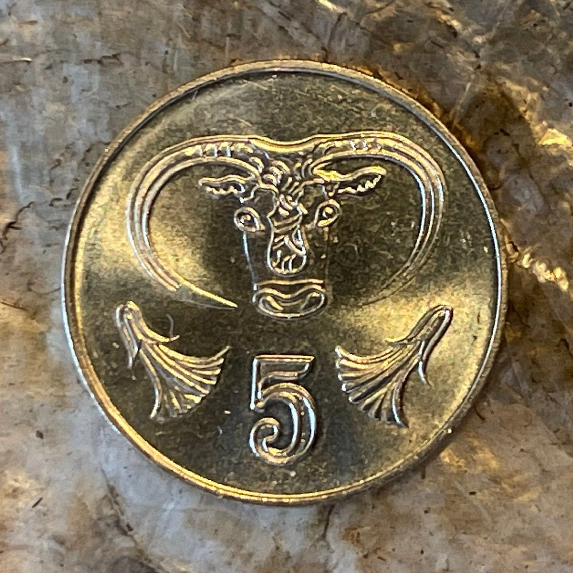 Bull Cyprus 5 Cents Authentic Coin Money for Jewelry and Craft Making