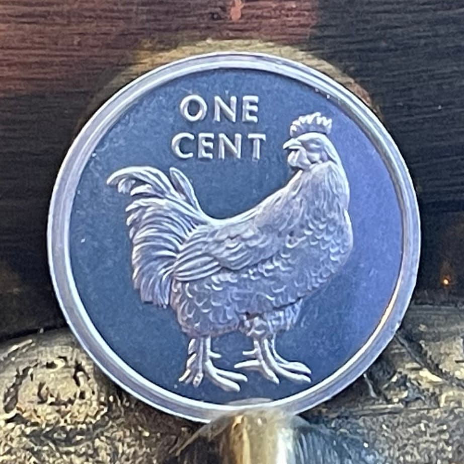 Wild Rooster 1 Cent Cook Islands Authentic Coin Money for Jewelry and Craft Making (Wild Chicken)
