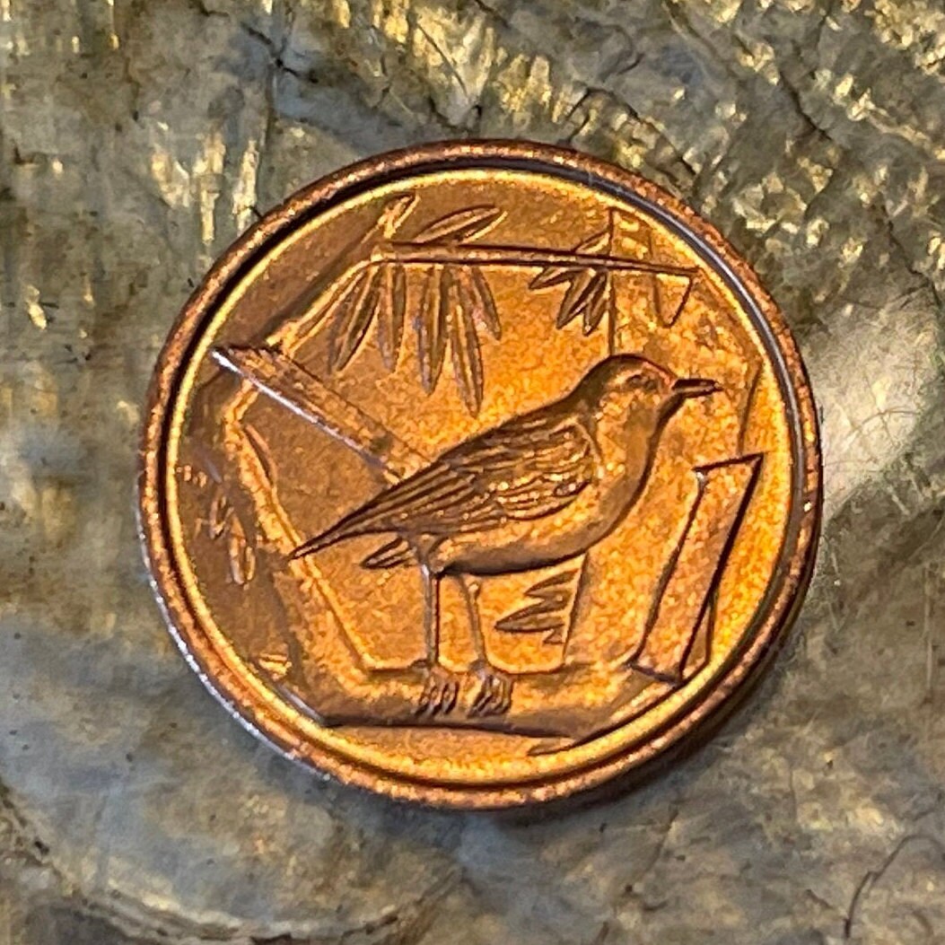 Grand Cayman Thrush Cayman Islands 1 Cent Authentic Coin Money for Jewelry and Craft Making