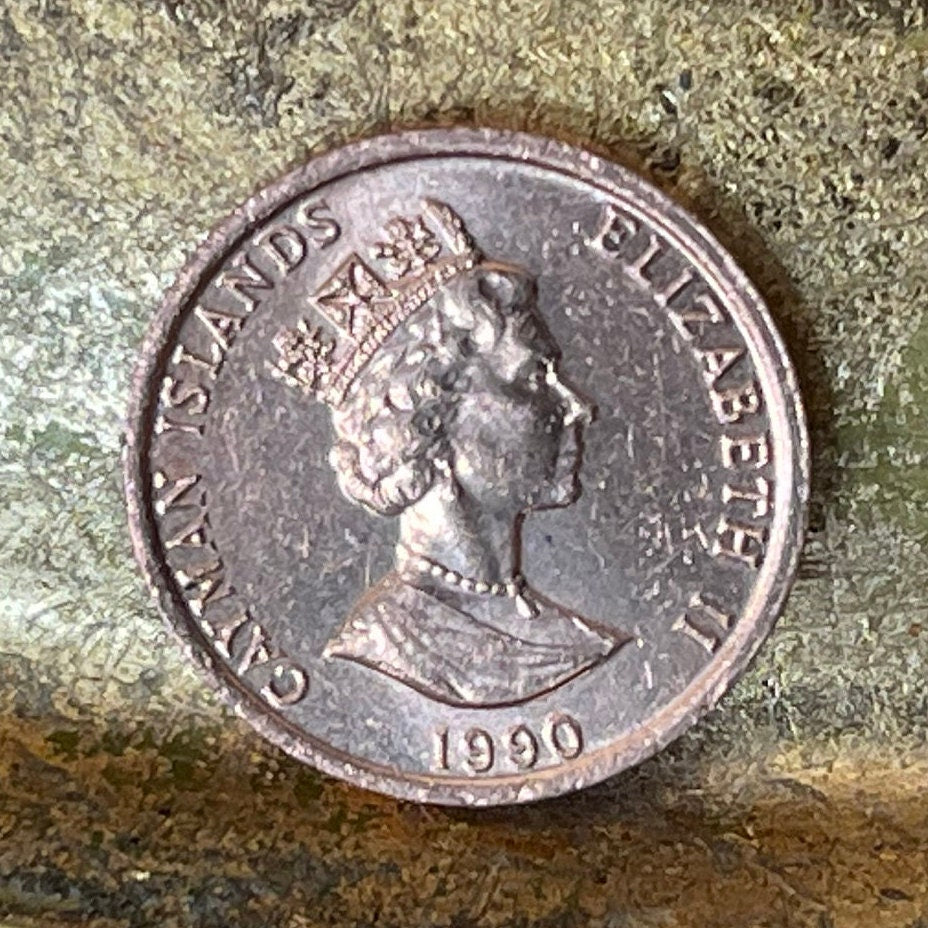 Grand Cayman Thrush Cayman Islands 1 Cent Authentic Coin Money for Jewelry and Craft Making