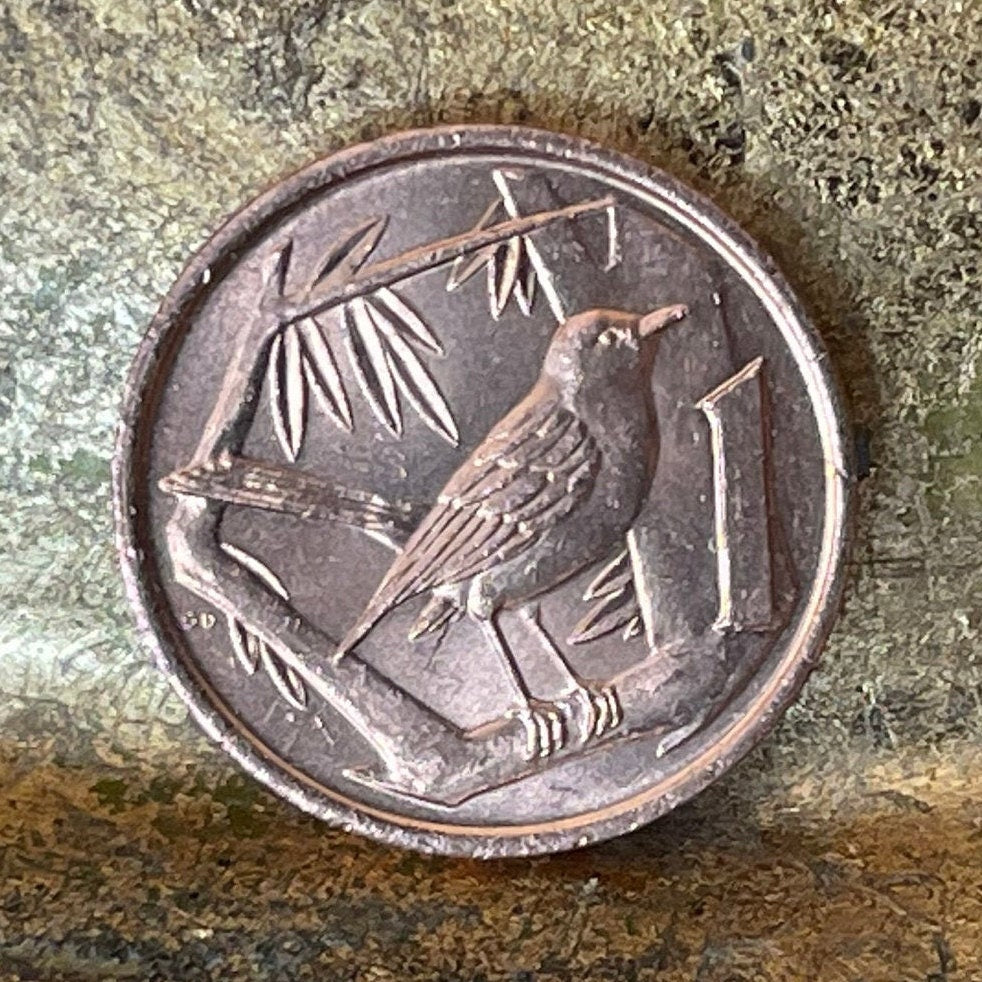 Grand Cayman Thrush Cayman Islands 1 Cent Authentic Coin Money for Jewelry and Craft Making