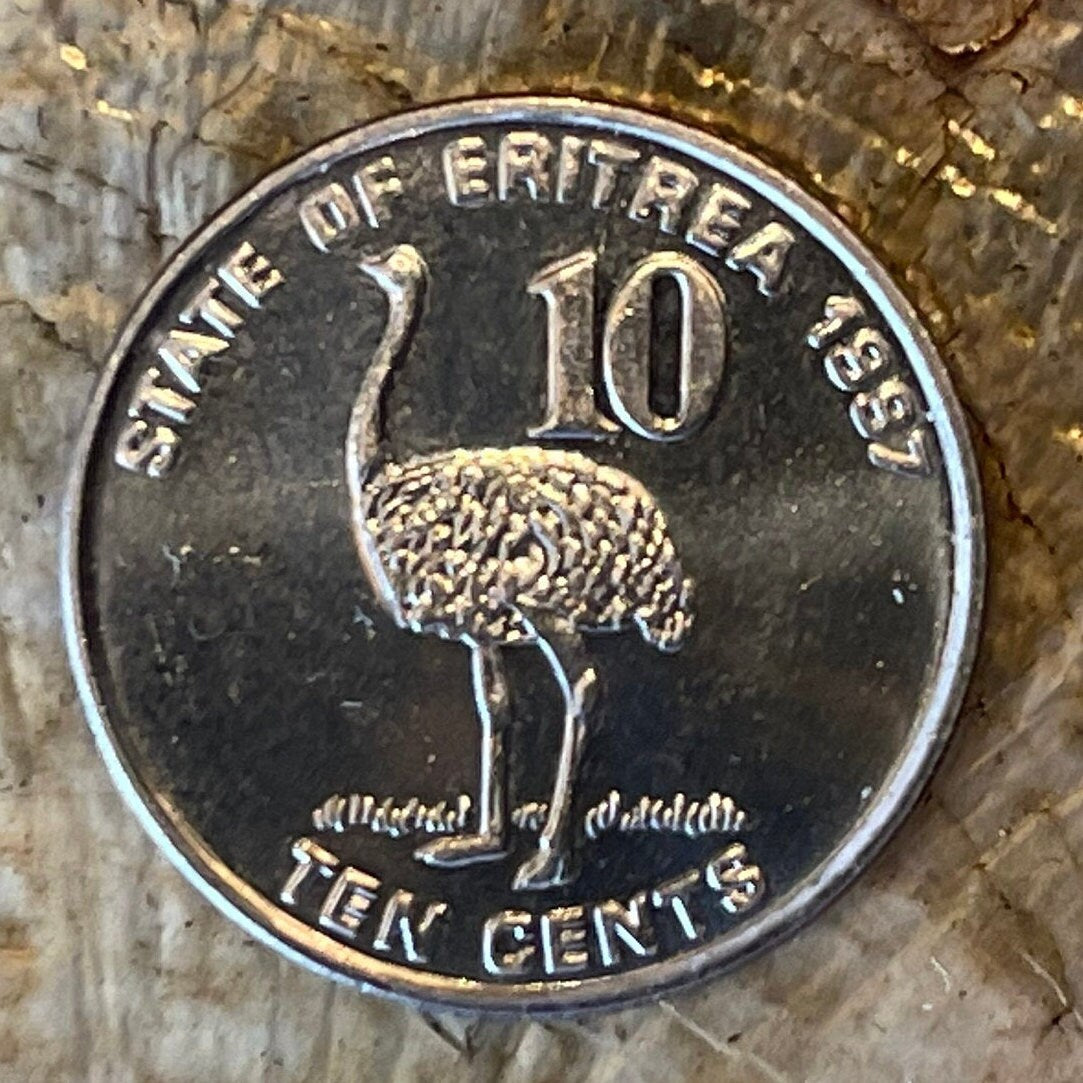 Somali Ostrich & Liberty/Equality/Justice Eritrea 10 Cents Authentic Coin Money for Jewelry and Craft Making