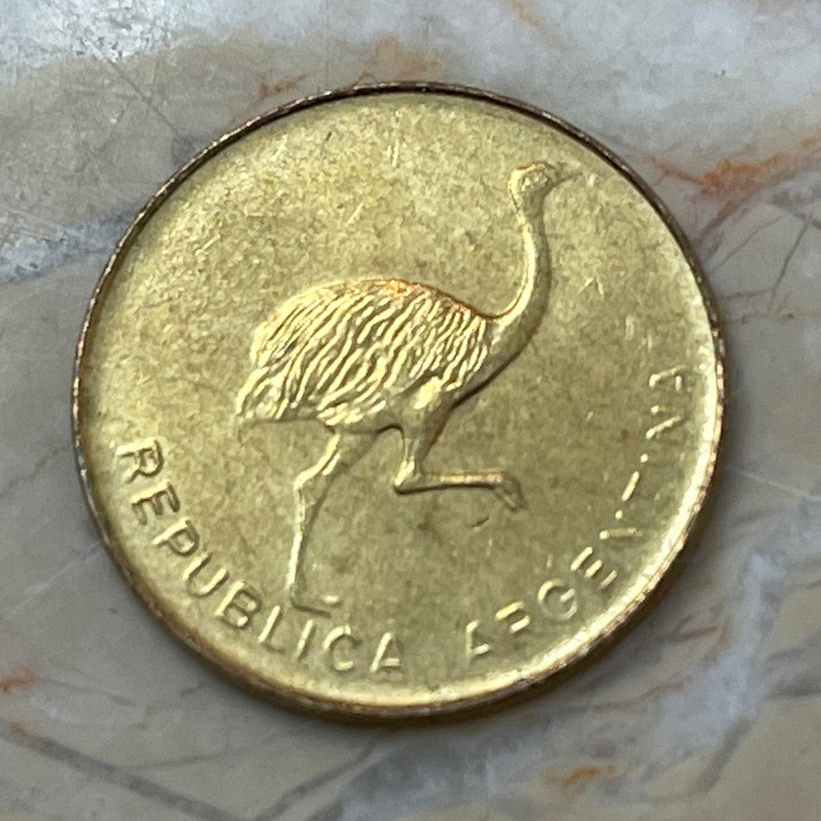 Greater Rhea Argentina 1 Centavo Authentic Coin Money for Jewelry and Craft Making 1987