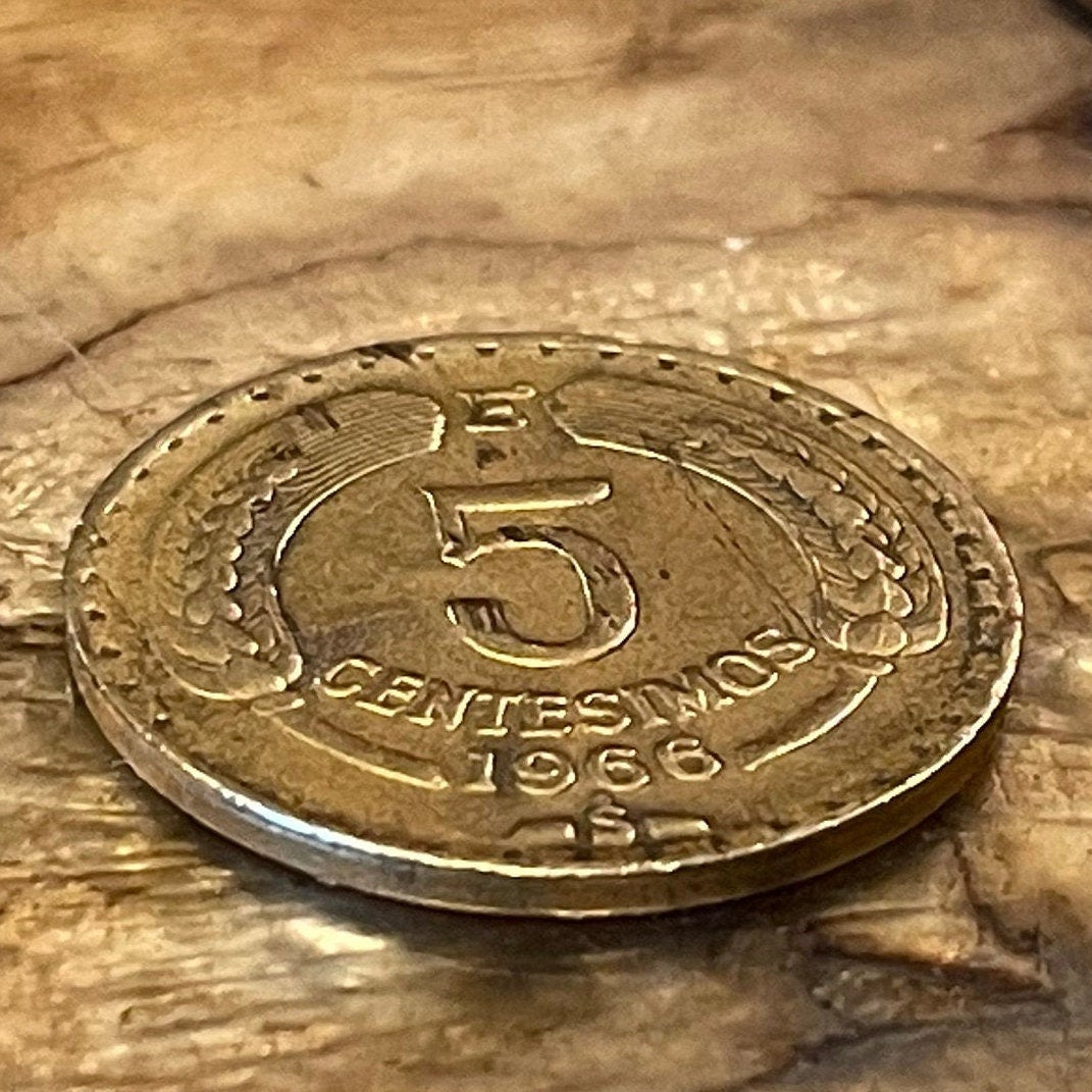 Andean Condor 5 Centesimos Chile Authentic Coin Money for Jewelry and Craft Making