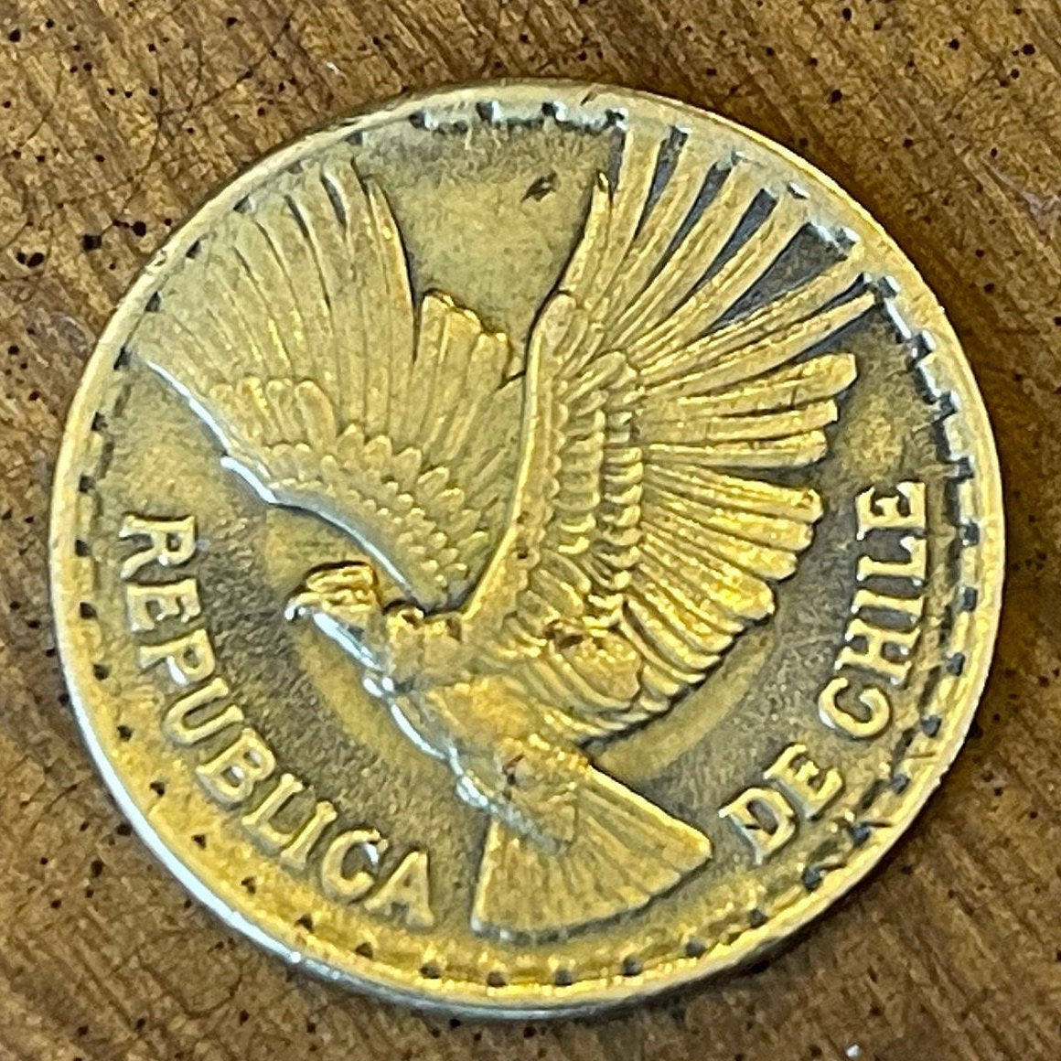 Andean Condor 5 Centesimos Chile Authentic Coin Money for Jewelry and Craft Making