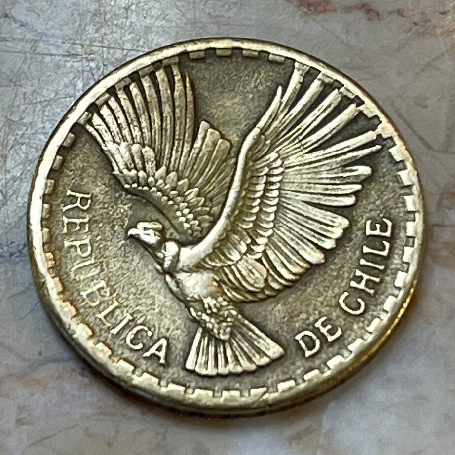 Andean Condor 2 Centesimos Chile Authentic Coin Money for Jewelry and Craft Making