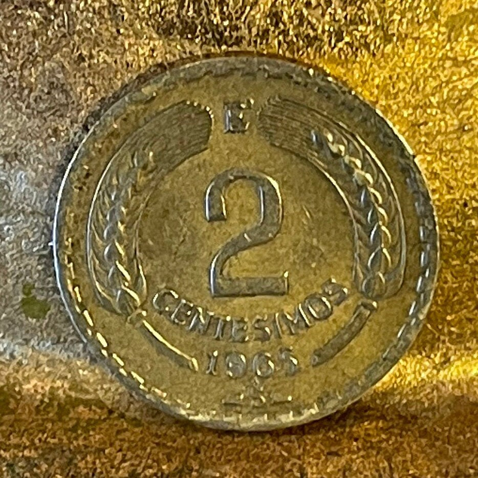 Andean Condor 2 Centesimos Chile Authentic Coin Money for Jewelry and Craft Making