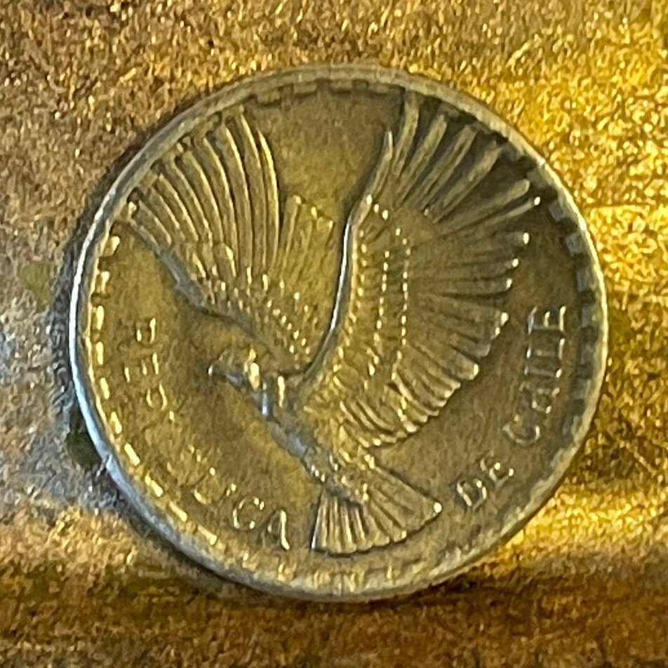 Andean Condor 2 Centesimos Chile Authentic Coin Money for Jewelry and Craft Making