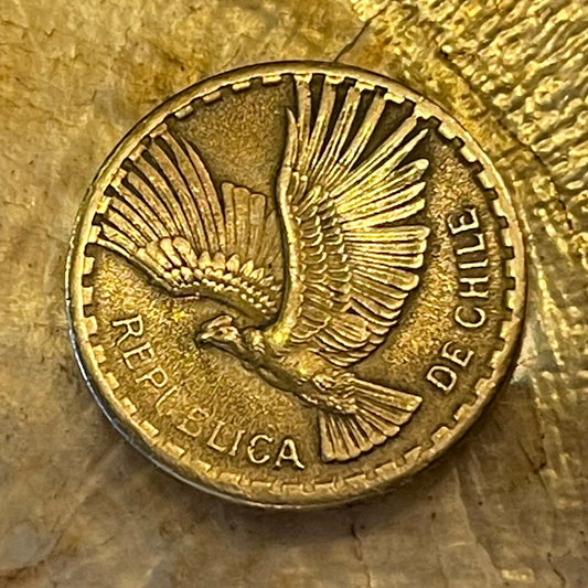 Andean Condor 2 Centesimos Chile Authentic Coin Money for Jewelry and Craft Making