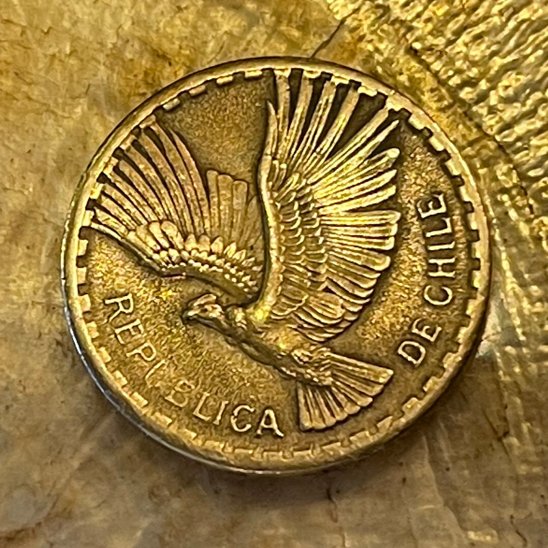 Andean Condor 2 Centesimos Chile Authentic Coin Money for Jewelry and Craft Making