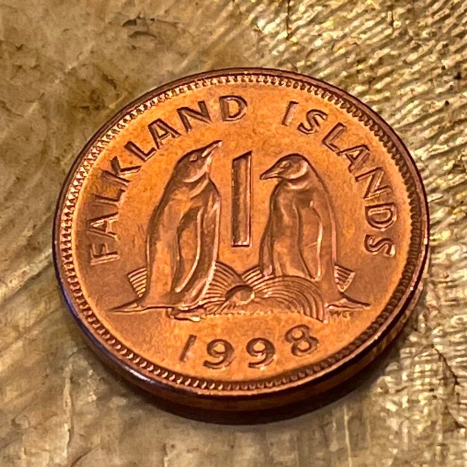 Gentoo Penguins Falkland Islands 1 Penny Authentic Coin Money for Jewelry and Craft Making