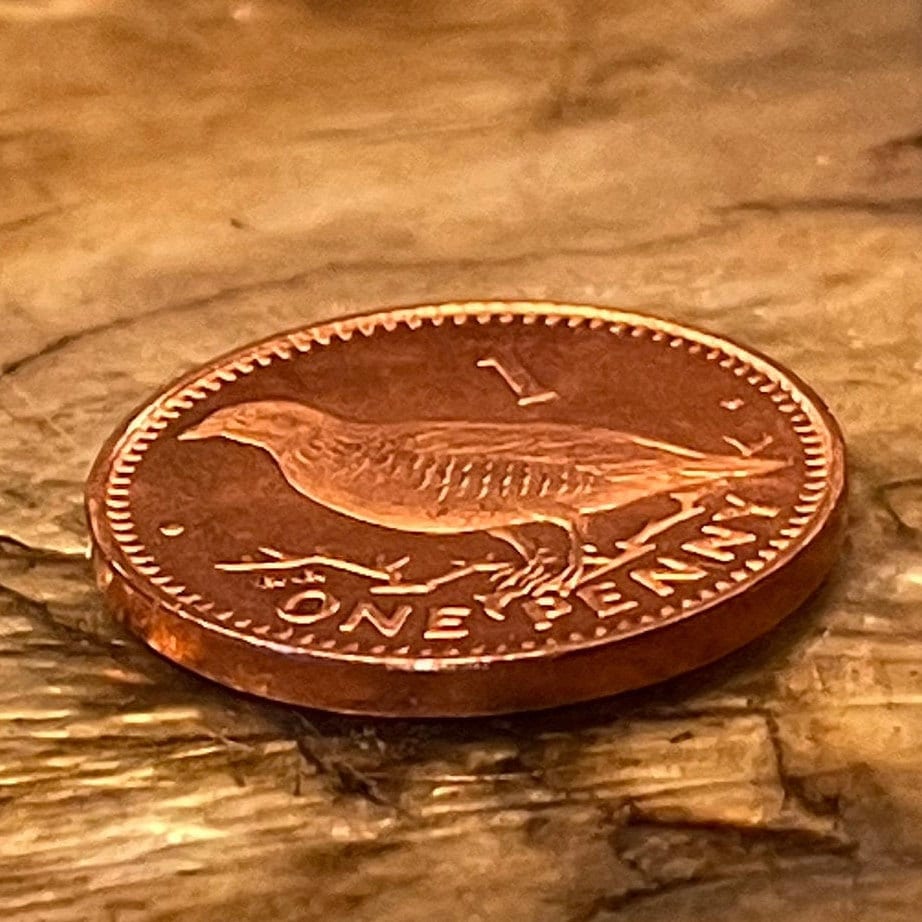 Barbary Partridge Gibraltar 1 Penny Authentic Coin Money for Jewelry and Craft Making