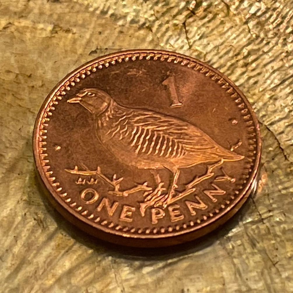 Barbary Partridge Gibraltar 1 Penny Authentic Coin Money for Jewelry and Craft Making