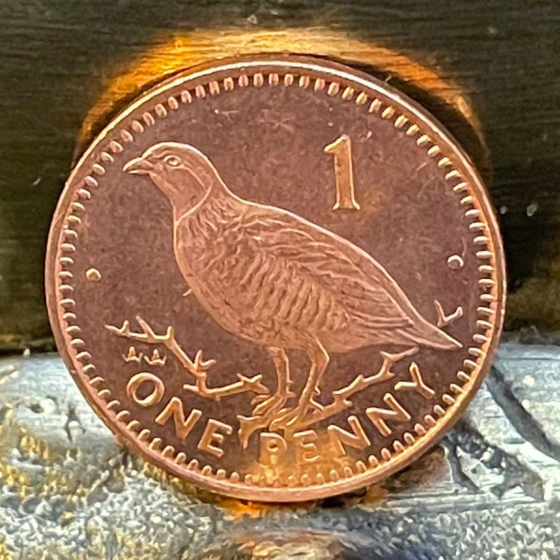 Barbary Partridge Gibraltar 1 Penny Authentic Coin Money for Jewelry and Craft Making