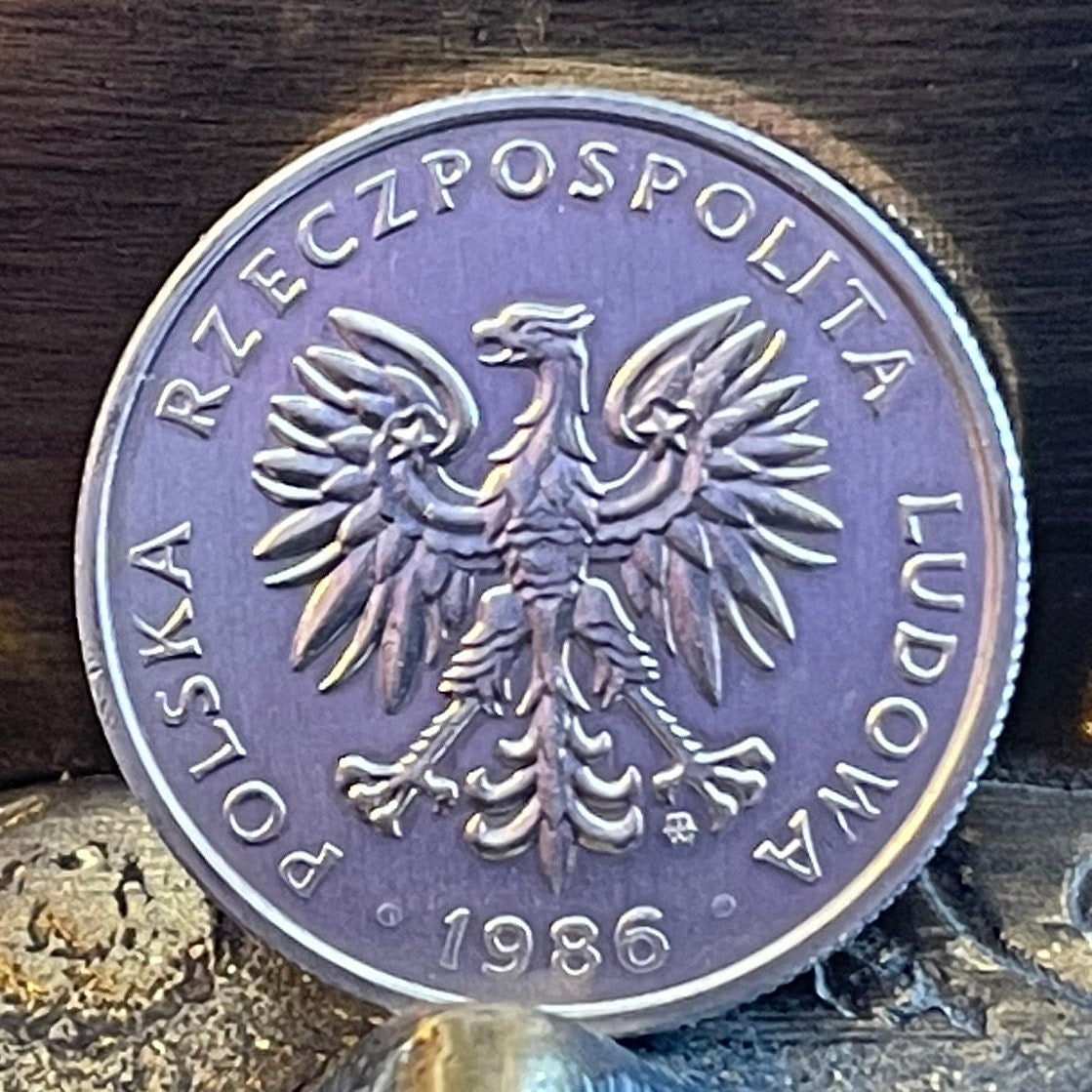 White Eagle 50 Groszy Poland Authentic Coin Money for Jewelry and Craft Making