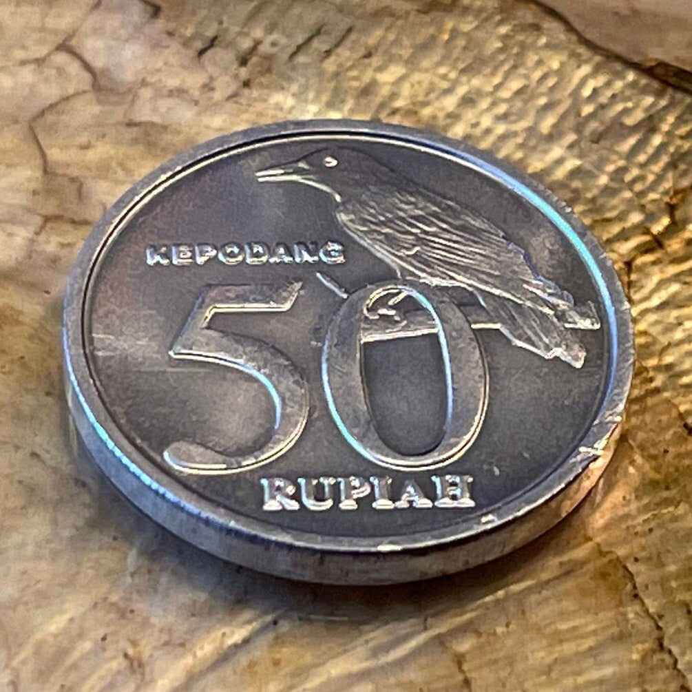 Black-naped Oriole & Garuda Indonesia 50 Rupiah Authentic Coin Money for Jewelry and Craft Making
