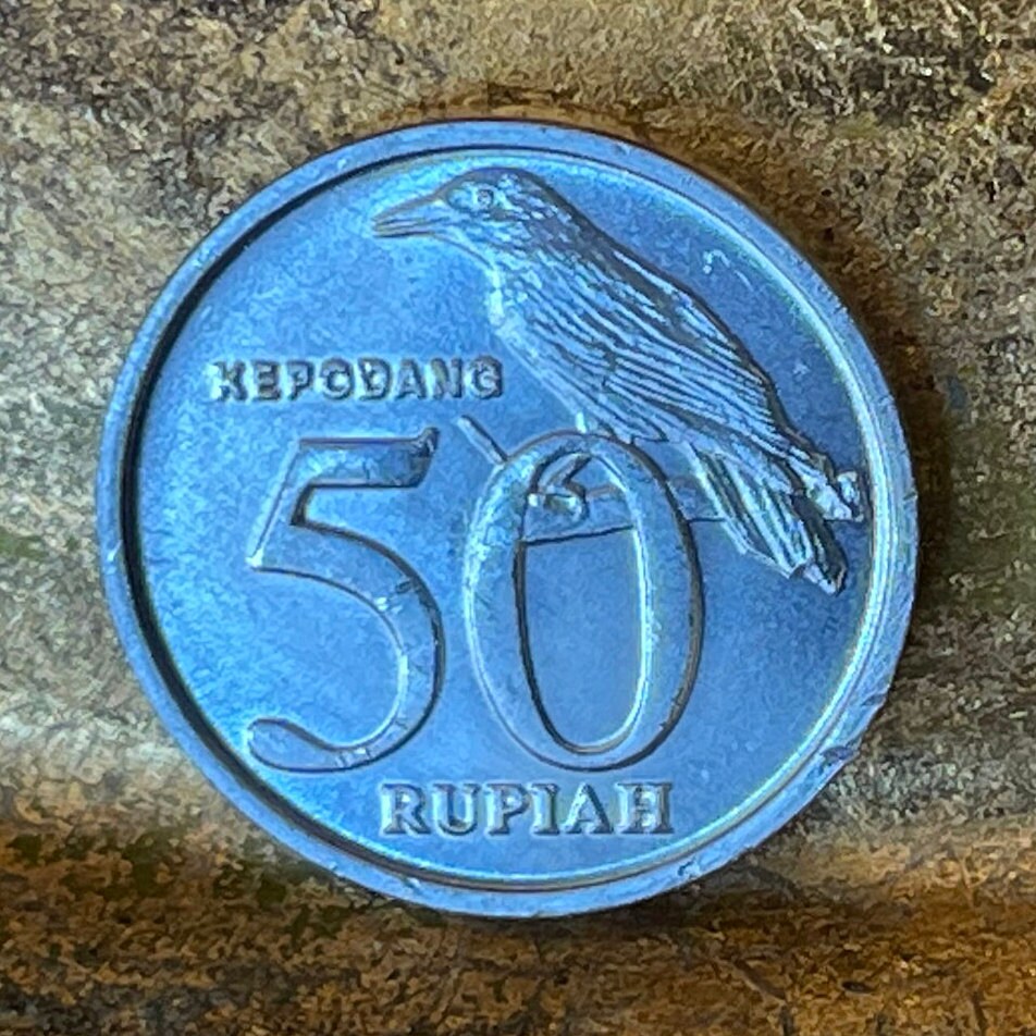 Black-naped Oriole & Garuda Indonesia 50 Rupiah Authentic Coin Money for Jewelry and Craft Making