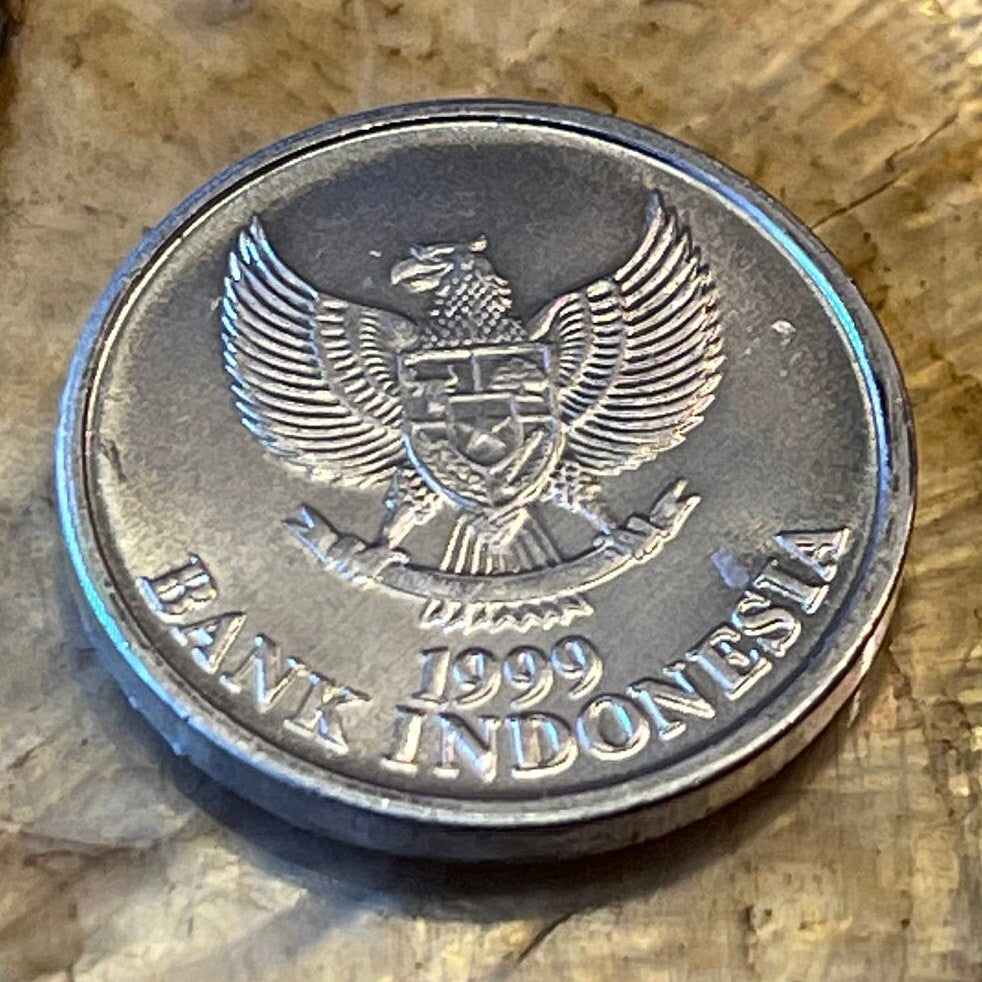 Black-naped Oriole & Garuda Indonesia 50 Rupiah Authentic Coin Money for Jewelry and Craft Making