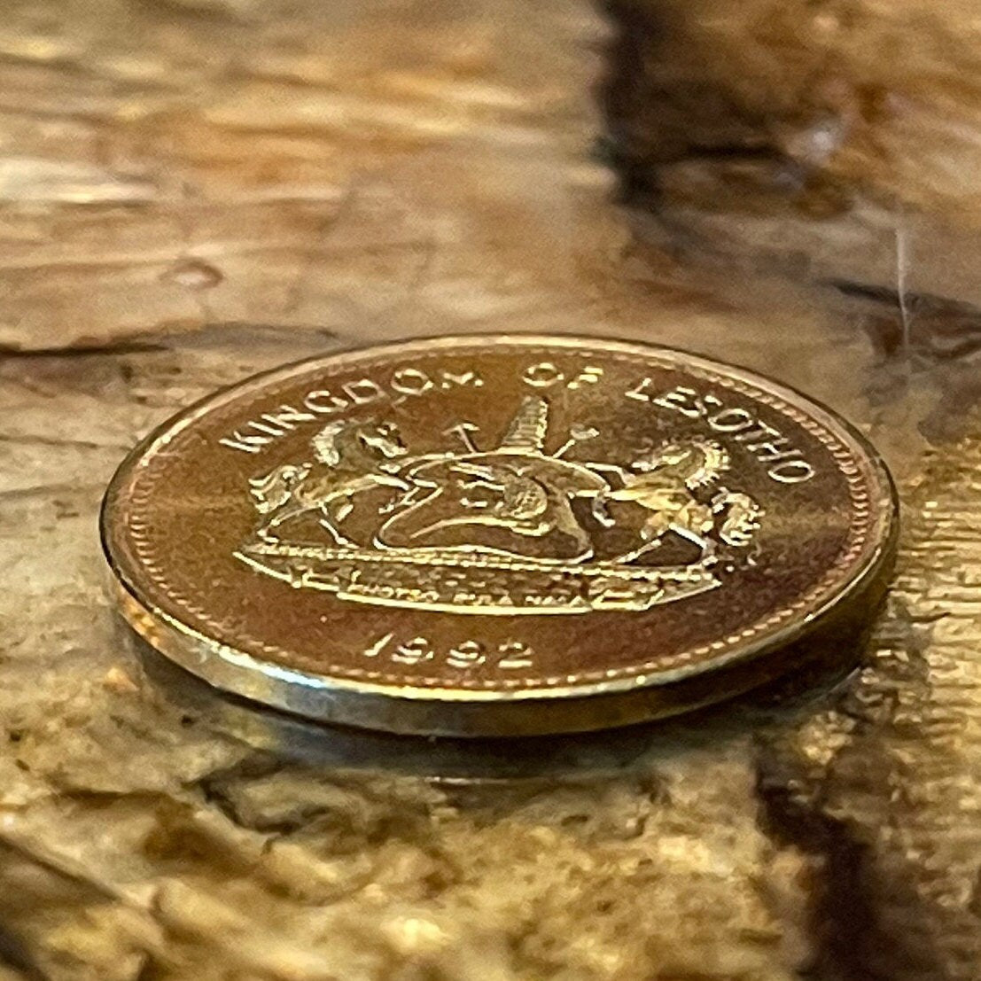 Bull Lesotho 2 Lisente Authentic Coin Money for Jewelry and Craft Making