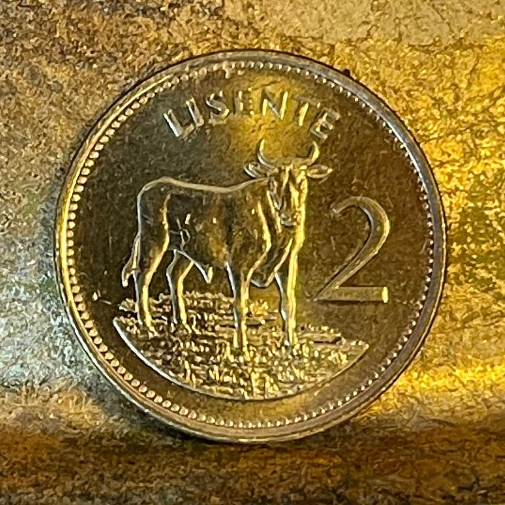 Bull Lesotho 2 Lisente Authentic Coin Money for Jewelry and Craft Making