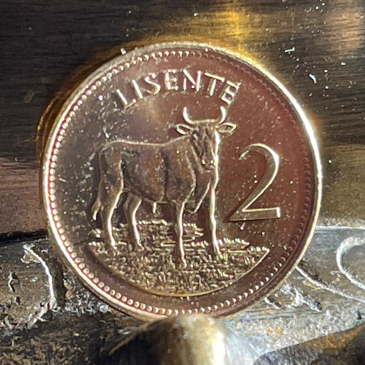 Bull Lesotho 2 Lisente Authentic Coin Money for Jewelry and Craft Making