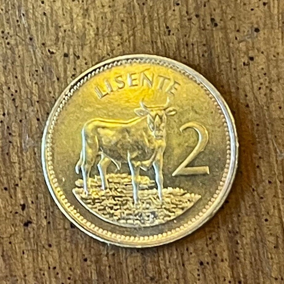 Bull Lesotho 2 Lisente Authentic Coin Money for Jewelry and Craft Making
