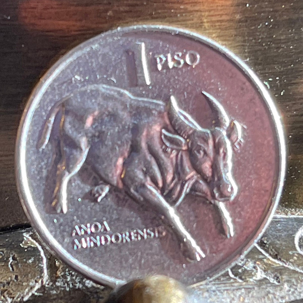 Dwarf Buffalo & Jose Rizal Philippines 1 Piso Authentic Coin Money for Jewelry and Craft Making (Tamaraw Cattle)