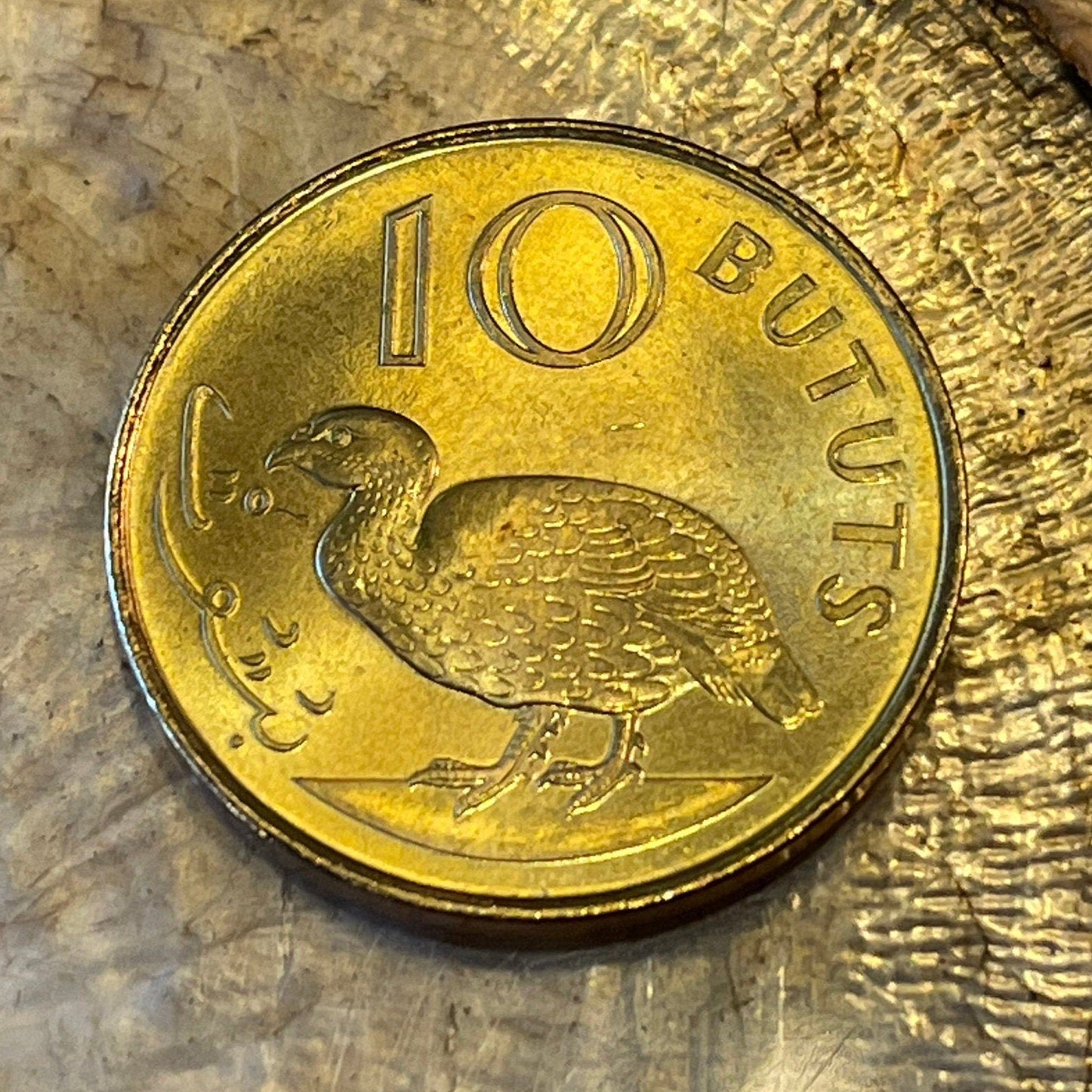 Double-Spurred Francolin Gambia 10 Butut Authentic Coin Money for Jewelry and Craft Making